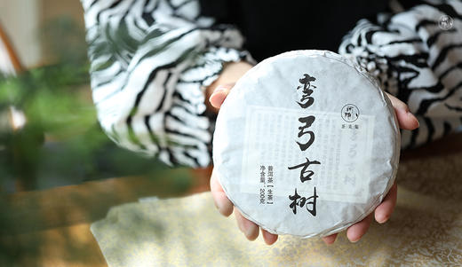 2023年春 易武弯弓 200g/饼 商品图0