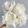 艾尔萨斯芍药5支 商品缩略图10