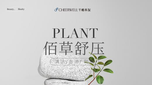 到店核销-【千唯养发】2次卡 | 品质连锁 | 养发护发、防脱育发、白发预防、肩颈调理（不约可联系客服退款：neigoupai004） 商品图2