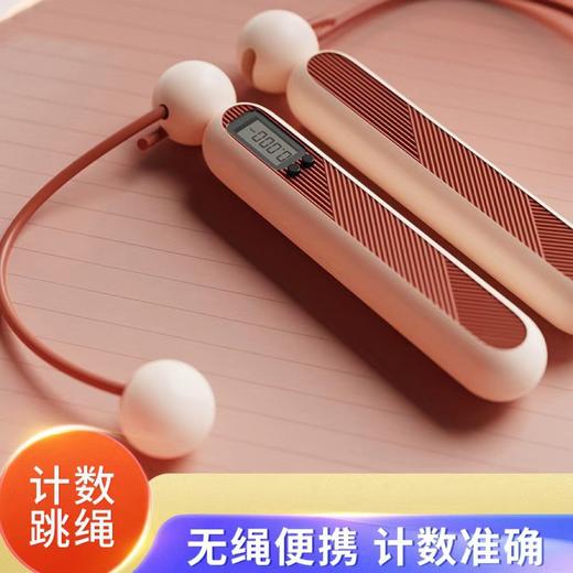 【室内室外 一绳搞定】两用电子计数跳绳 专业健身运动燃脂电子计数 有氧运动负重跳绳 商品图0