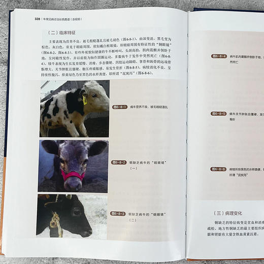 牛常见病诊治彩色图谱（含视频） 商品图9