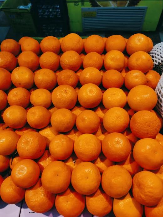 特价橙子4斤（拼团） 商品图1