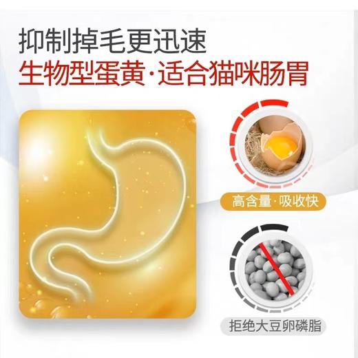 【美毛护肤套餐猫用】谷登卵磷脂鱼油颗粒300g*1罐+鱼油配方营养膏120g*1支 商品图1