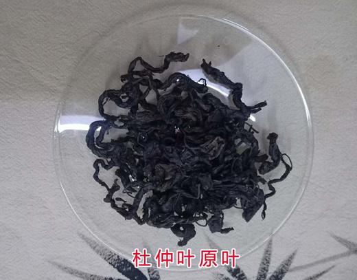 杜仲叶康体 调节优化血压血脂水平 内部体验 其它请勿购买 商品图3