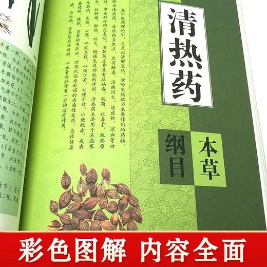 【推荐】本草纲目正版李时珍彩色图解 原版原著 药草书彩图版 中医养生入门书籍大全 中药材书籍中草药图解大全书中医药书 中医名著 商品图2