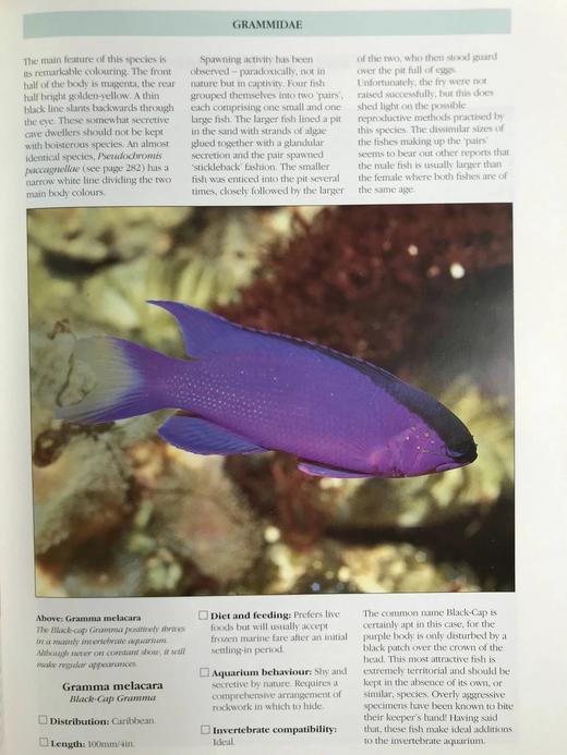 海洋生物图鉴 数百幅彩色插图 精装大16开 商品图9