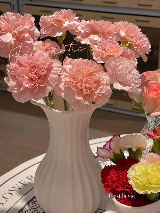 【随时下架】粉池金鱼重瓣大芍药5支+紫色睡莲5支+巴次拉重瓣大芍药1支+粉色单头康乃馨5支+种生粉重瓣芍药2支+优选重瓣百合4-5朵/份 商品图6