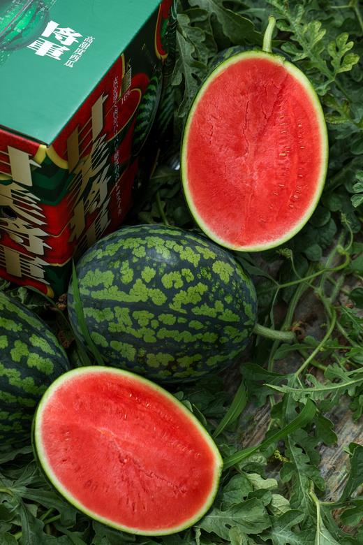 甘美4K 西瓜 产自西瓜之乡” 江苏东台（瓜籽少，果肉酥脆甜爽） 商品图2