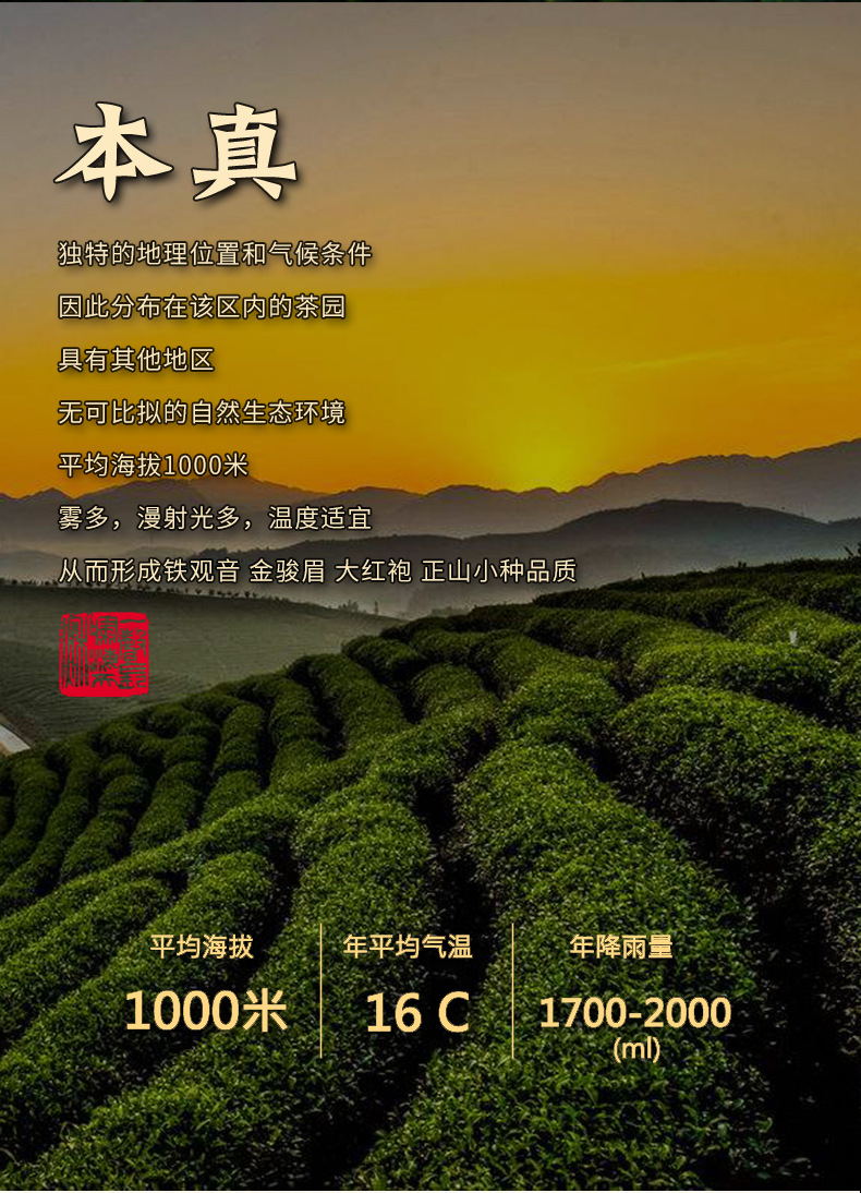 云山--四大茗茶-紫砂茶具_05