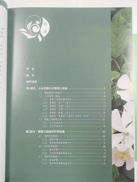 【现货】植物科学绘画+自然教学法之蔷薇三姐妹0692 商品图1