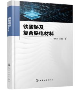 铁酸铋及复合铁电材料 商品图0