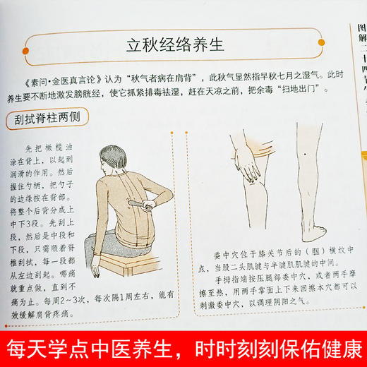 【推荐】图解二十四节气养生黄帝内经养生书籍大全女性养生三步走推拿书籍正版人体穴位图解大全书中医养生零基础学会人体经络穴位图解书 商品图2