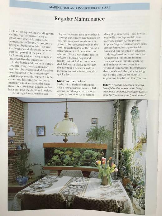 海洋生物图鉴 数百幅彩色插图 精装大16开 商品图13