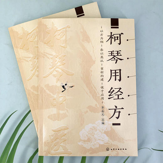 柯琴用经方 商品图1