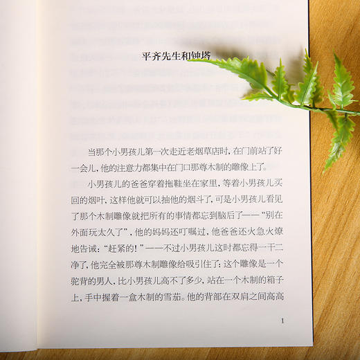 纽伯瑞国际大奖小说套装（全9册） 商品图5