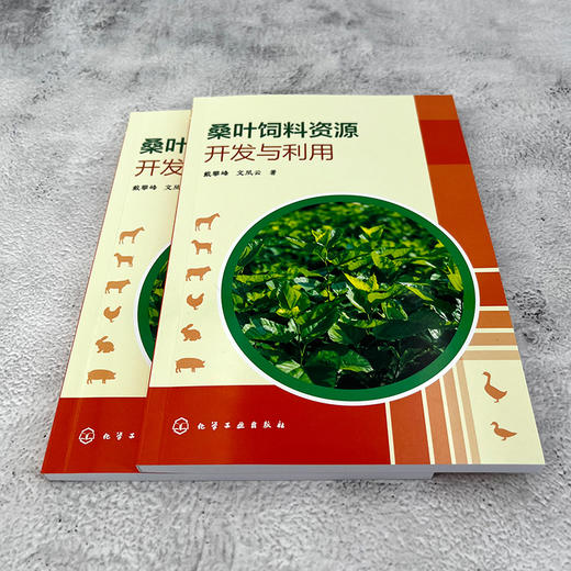 桑叶饲料资源开发与利用 商品图4