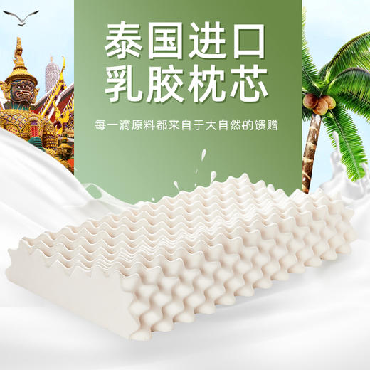 TAIHI泰嗨 泰象吉祥狼牙枕/波浪枕 商品图1