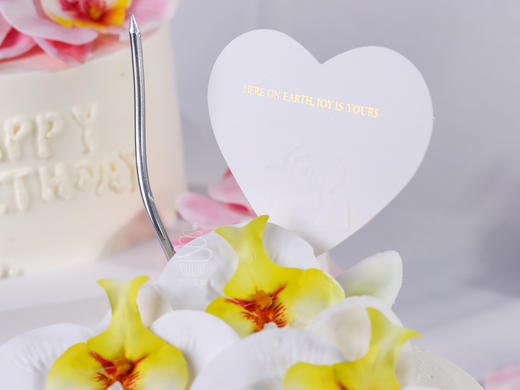 蝴蝶兰蛋糕 商品图3