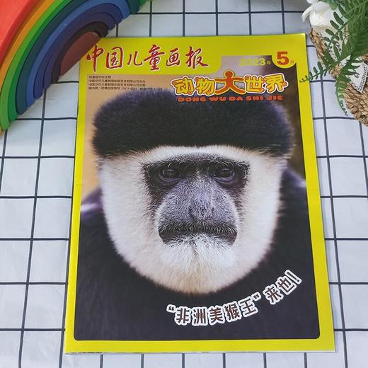 动物大世界 中国儿童画报（1年共12期）2026年5月起订 商品图4
