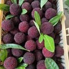 精装杨梅  约500g/篮 商品缩略图2