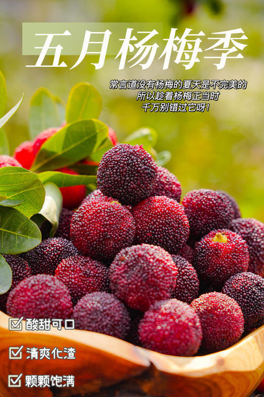 初夏限定美好！【浮宫杨梅】肉感十足 酸甜爆汁 清爽开胃 口口撩到心尖上！~ 商品图1