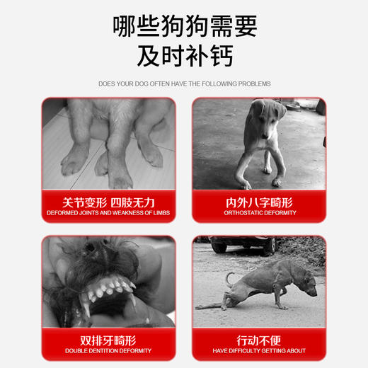 套餐【汪星人套餐】高钙片200片+狗狗羊奶粉200g+六种菌+犬用营养膏120g+肠胃宝5g*10袋 商品图4