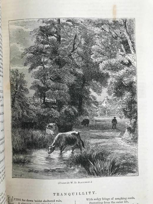 1875年 箭囊杂志 数百幅插图 真皮精装16开 商品图13