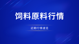 豆粕连跌2日降200元，玉米大跳水，鱼粉飙至15000元/吨，饲料是涨是跌？