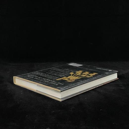 法老的宫廷与战争生活 234幅插图（172幅彩色） 精装16开 商品图2