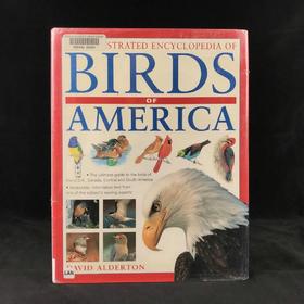 新版美洲鸟类百科全书 500余幅彩色插图 精装大16开