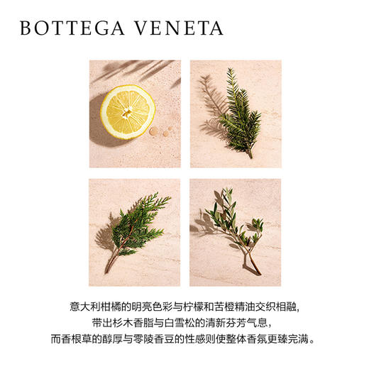 【情侣香】Bottega Veneta葆蝶家幻境香水BV男士女香水淡香氛木质香调情侣香 商品图4