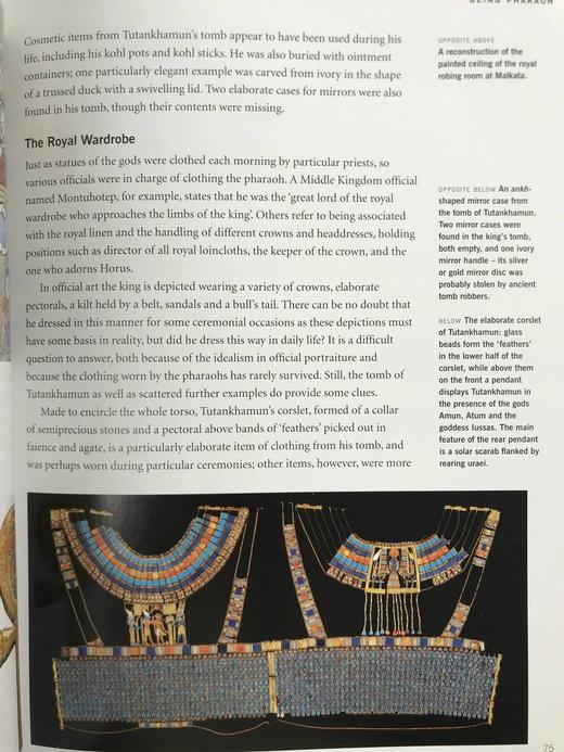 法老的宫廷与战争生活 234幅插图（172幅彩色） 精装16开 商品图11