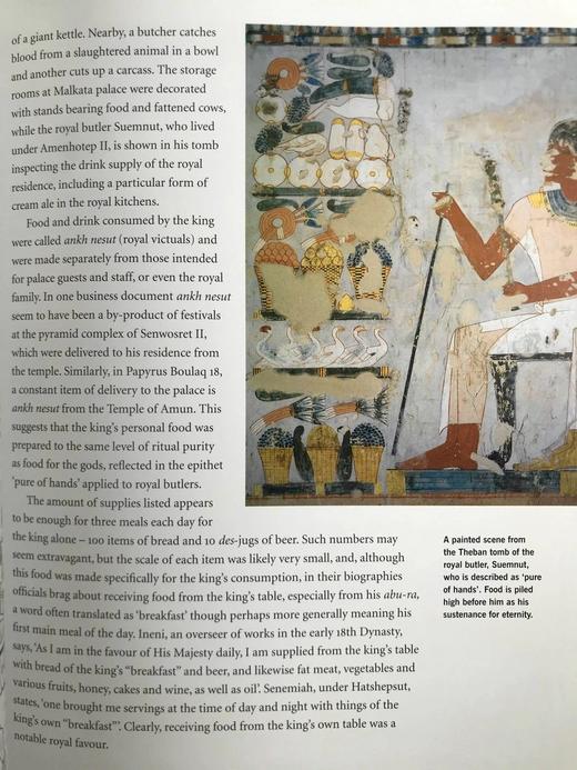 法老的宫廷与战争生活 234幅插图（172幅彩色） 精装16开 商品图7