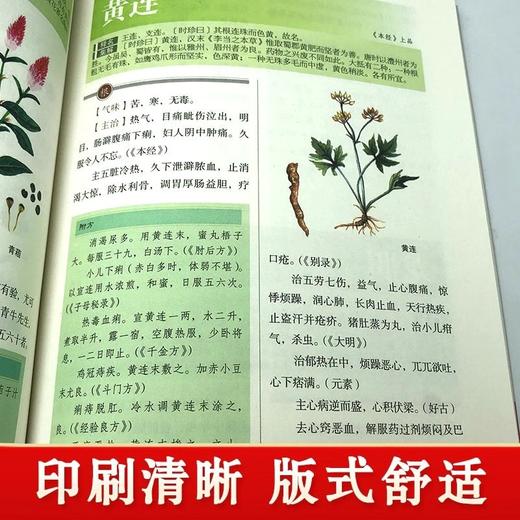 【推荐】本草纲目正版李时珍彩色图解 原版原著 药草书彩图版 中医养生入门书籍大全 中药材书籍中草药图解大全书中医药书 中医名著 商品图3