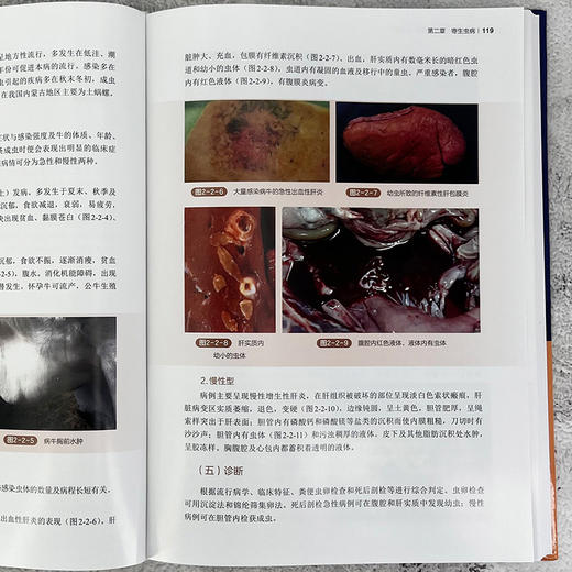牛常见病诊治彩色图谱（含视频） 商品图6
