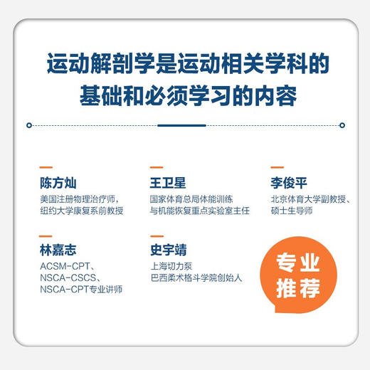 运动解剖学图谱 肌肉结构与功能全解第3版 克里斯·贾迈等 著 运动健身 商品图1