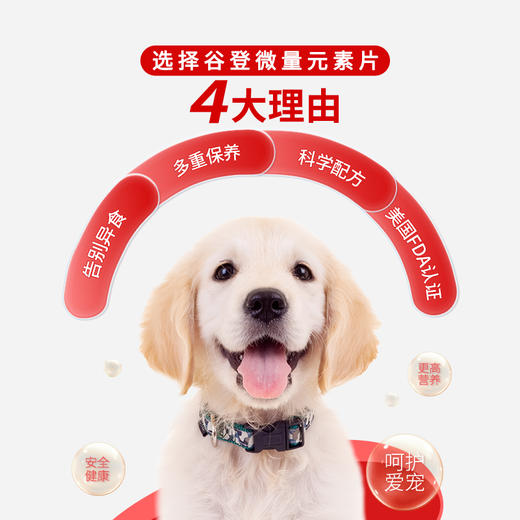 套餐【异食黄金搭档套餐】微量元素片400片+狗六种菌8袋 商品图2