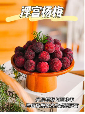 初夏限定美好！【浮宫杨梅】肉感十足 酸甜爆汁 清爽开胃 口口撩到心尖上！~