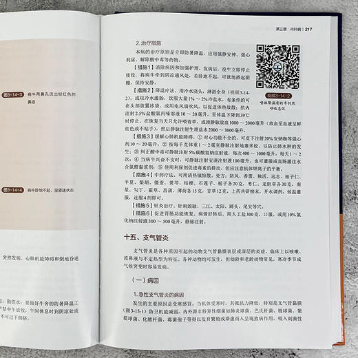 牛常见病诊治彩色图谱（含视频） 商品图7
