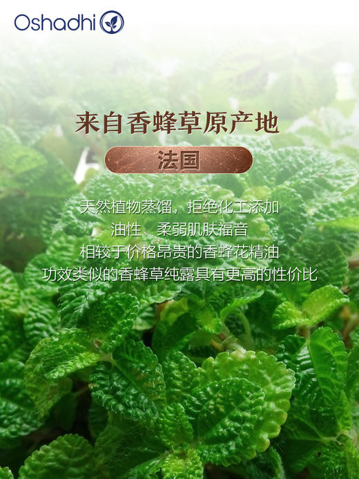 oshadhi 德国O家 香蜂花香蜂草纯露 控油 花水 爽肤水 效期26.3起 商品图4