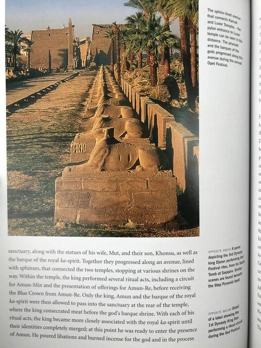 法老的宫廷与战争生活 234幅插图（172幅彩色） 精装16开 商品图8