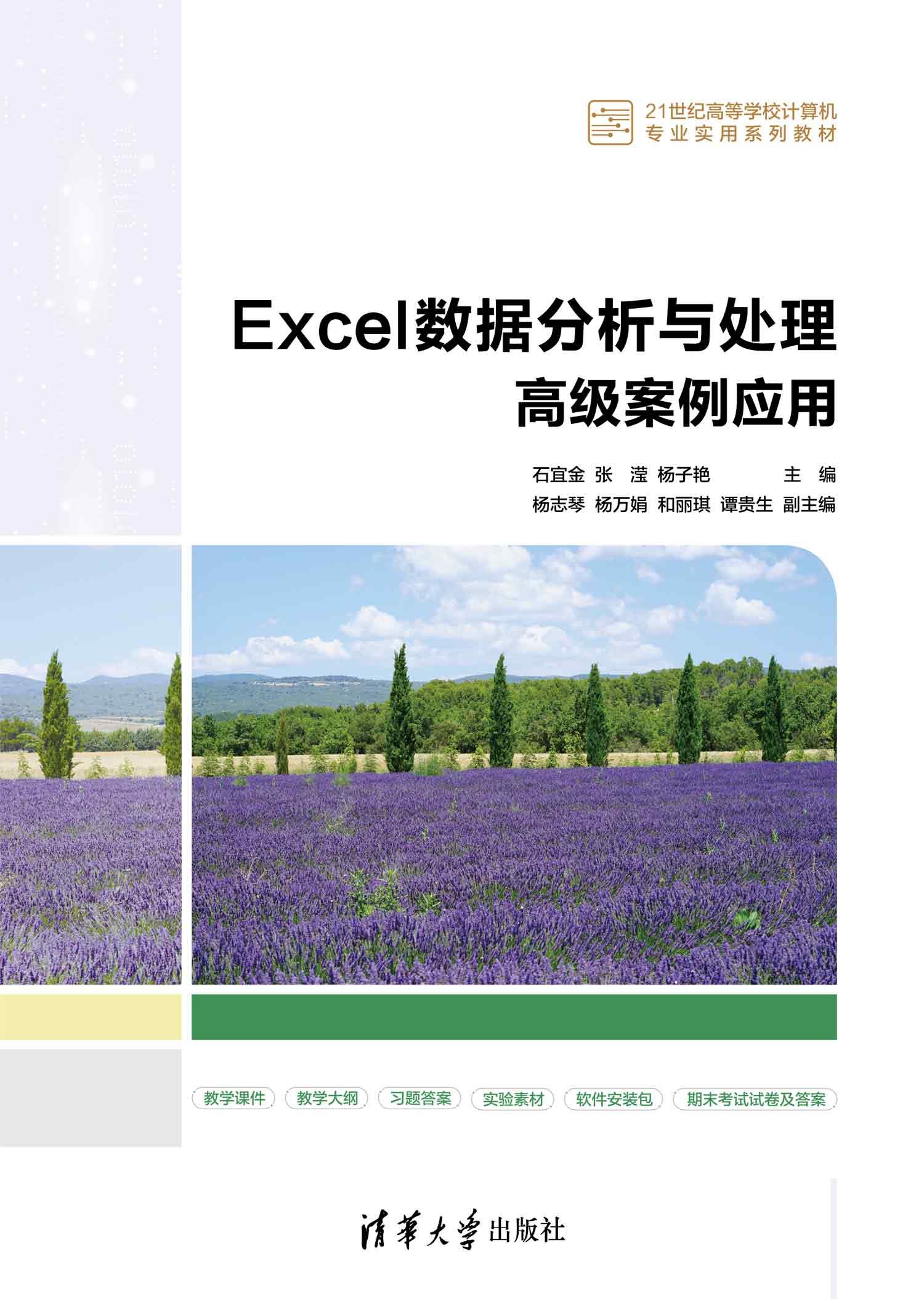 Excel数据分析与处理高级案例应用