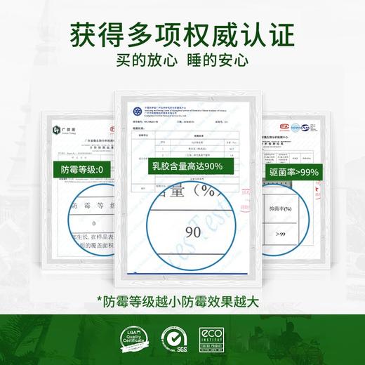 TAIHI泰嗨 泰象吉祥狼牙枕/波浪枕 商品图6