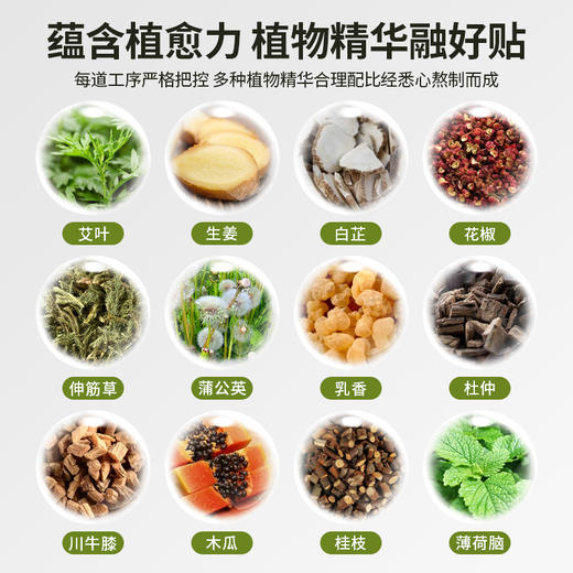 【创办于1669年！北京同仁堂老北京颈椎贴腰椎贴膝盖贴】艾草颈椎贴艾草腰椎贴艾草膝盖贴，植物精华，亲肤透气，直击各种不适，缓释压力 商品图1