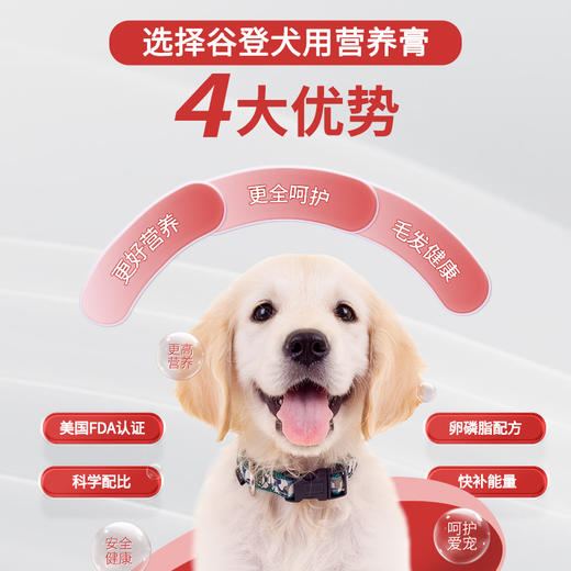 套餐【汪星人套餐】高钙片200片+狗狗羊奶粉200g+六种菌+犬用营养膏120g+肠胃宝5g*10袋 商品图7