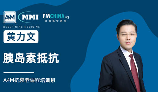 黄力文 | 胰岛素抵抗（更正版） 商品图0