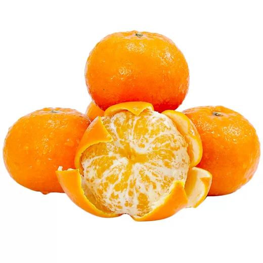 新鲜水果  明日见雪山柑5斤装 商品图1