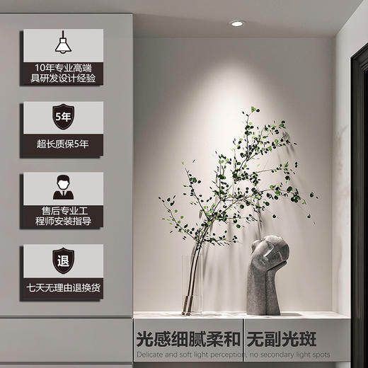 巴黎高端全光谱射灯｜嵌入式｜75mm开孔 商品图10