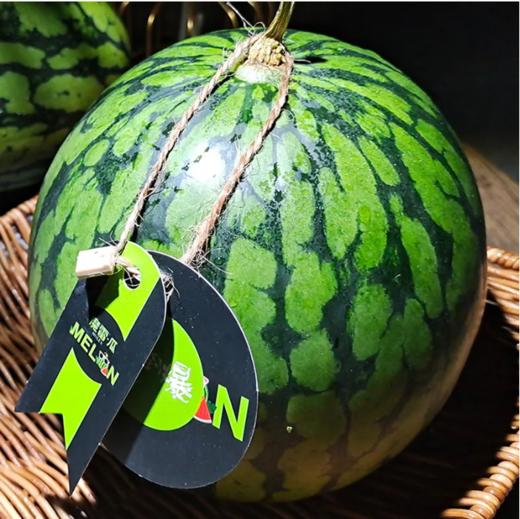 魔雷西瓜一箱（拼团） 商品图2