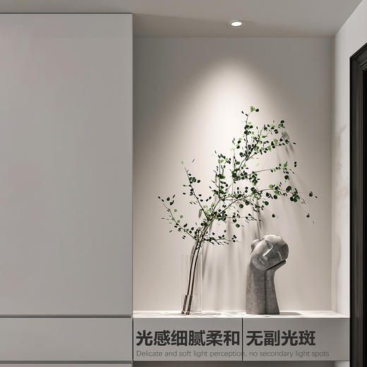 巴黎高端全光谱射灯｜嵌入式｜75mm开孔 商品图9